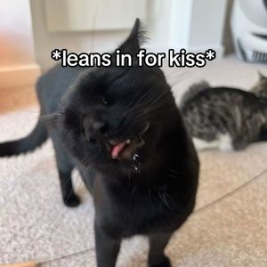 Meet your Posher, Lydia